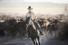 australia kidman